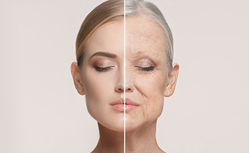 Related Portfolio Image 1